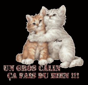 Gif un gros calin ça fait du bien